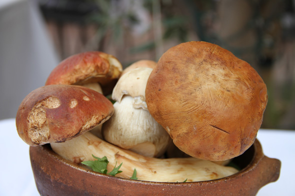 заготовки из грибов на зиму