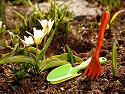 Органические удобрения для огорода: их виды и характеристики, варианты подкормки.