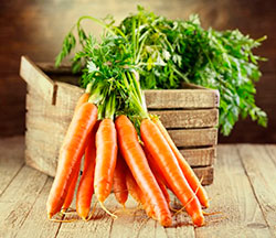 Лучший сорт моркови