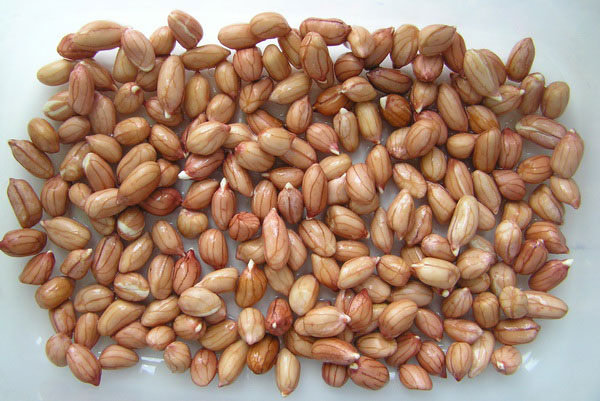 Обычный арахис, приобретенный в магазине чаще всего не подходит для выращивания