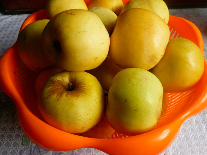 Для приготовления моченых яблок годятся осенние и раннезимние сорта