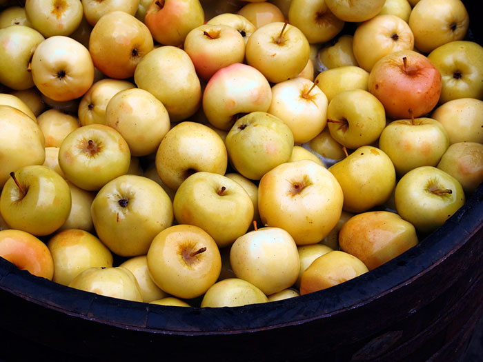 Моченые яблоки готовятся на 40-50 сутки