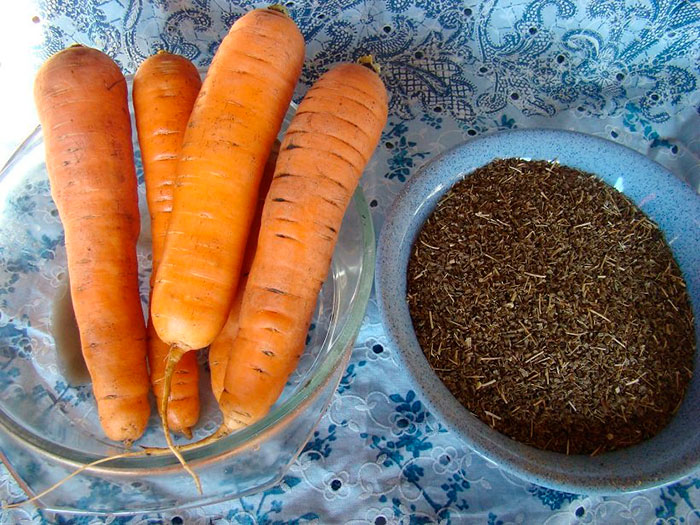 Морковь "Нантская" богата витаминами и рекомендована для детского питания