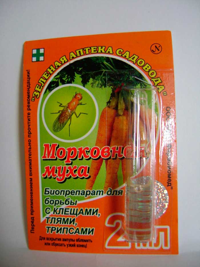 Морковная муха 