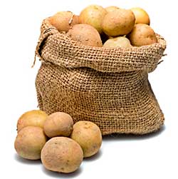 Температура хранения картофеля: как хранить картофель зимой (на балконе, впогребе)