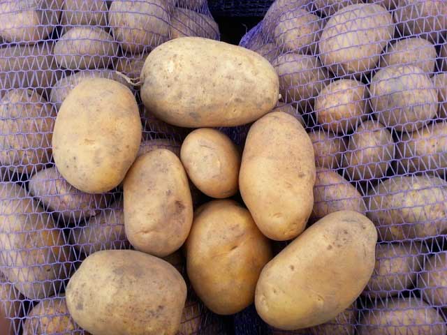 Картофель гранада: описание сорта, фото, отзывы, урожайность